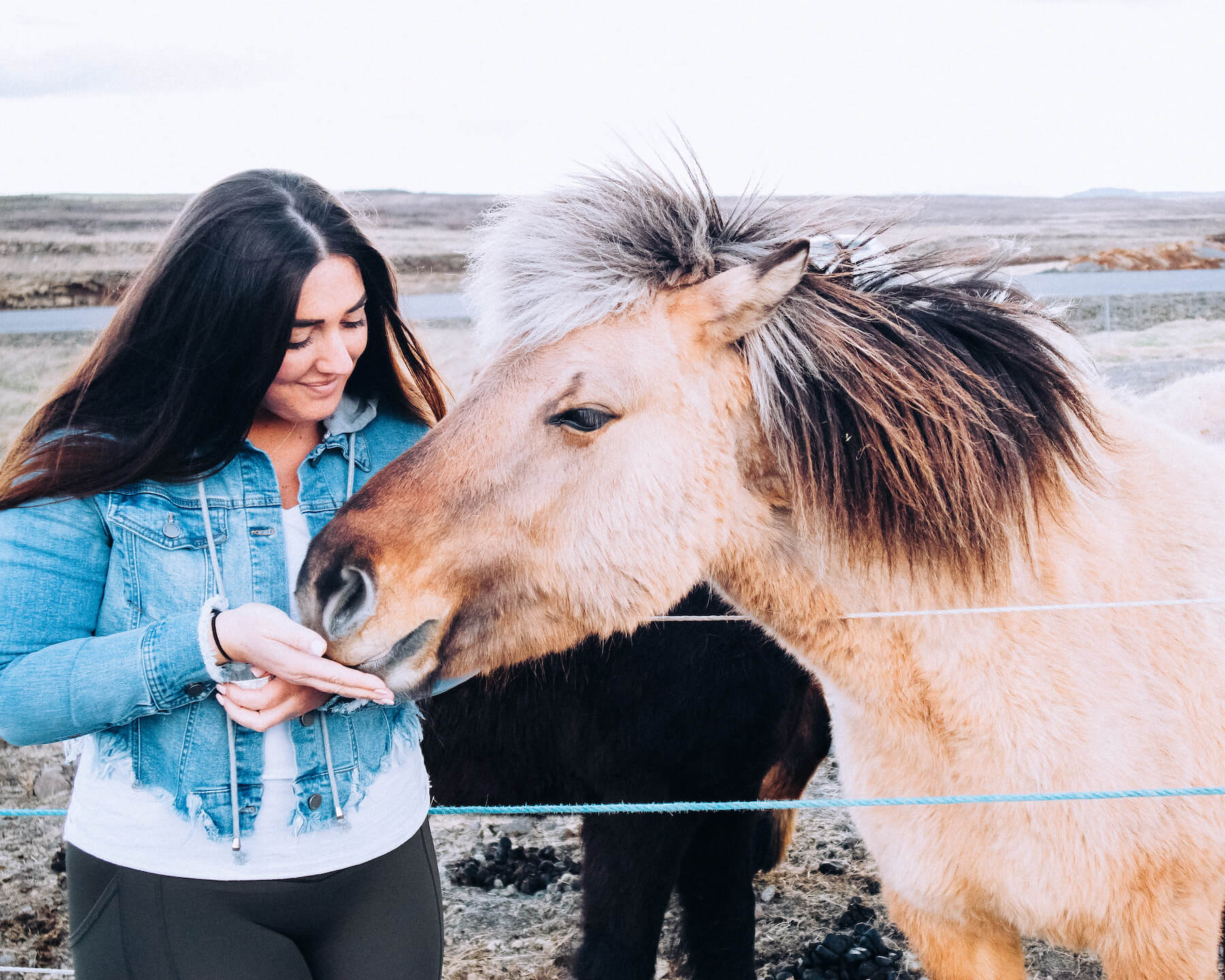 Life With Ashley Jones Travel To Iceland